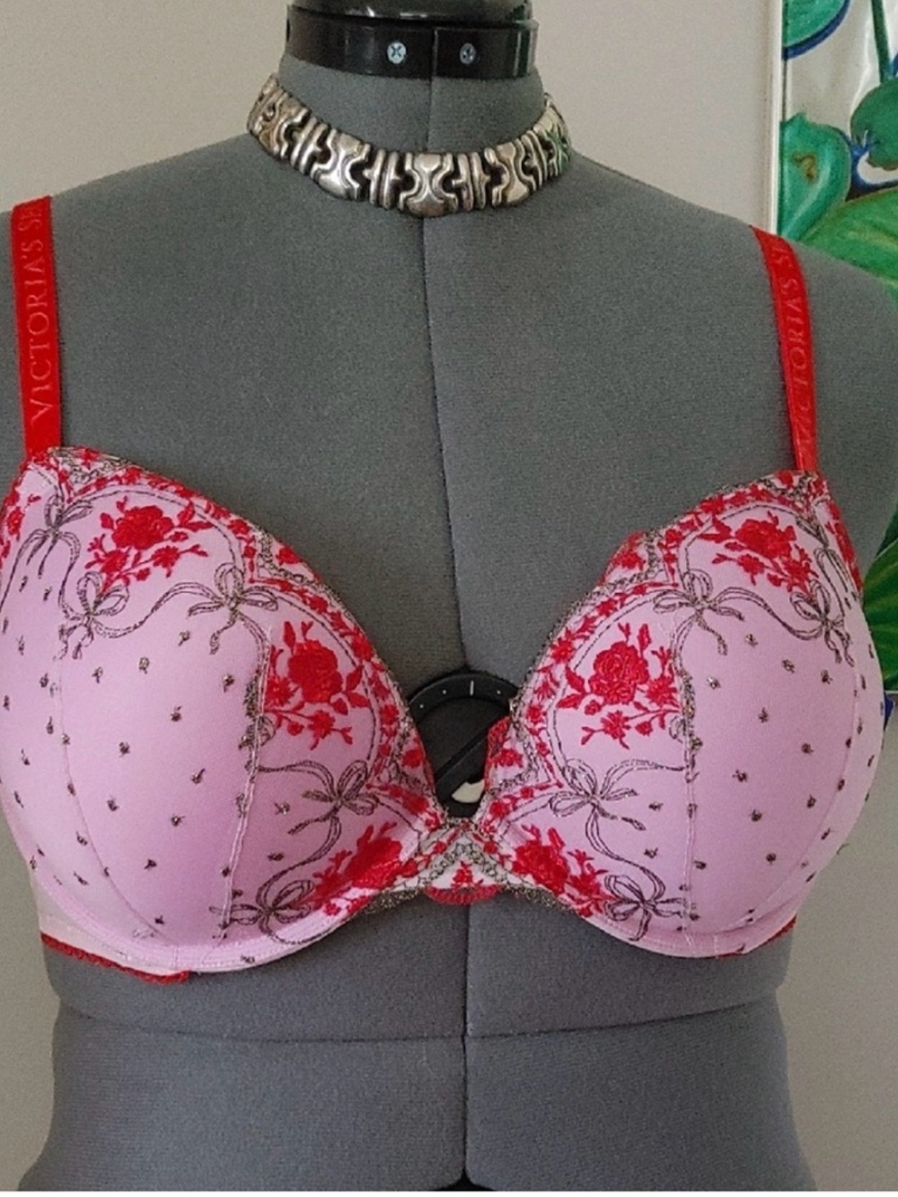 NWT Victoria's Secret Pink Bra with Red Floral Embroidery